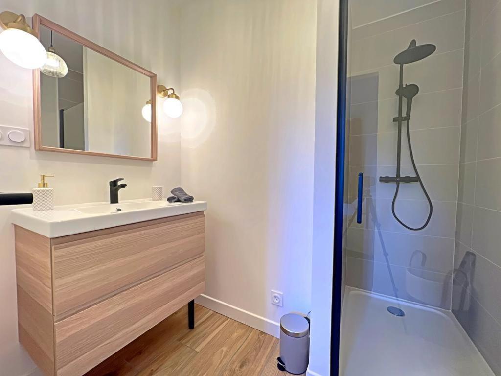Appartement Coup De Coeur. St Etienne-Rochetaillee Σαιντ-Ετιέν Εξωτερικό φωτογραφία